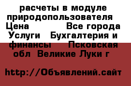 расчеты в модуле природопользователя › Цена ­ 3 000 - Все города Услуги » Бухгалтерия и финансы   . Псковская обл.,Великие Луки г.